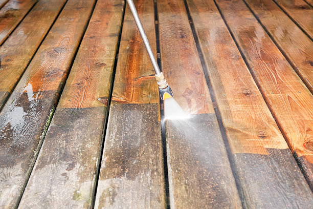 Best Dumpster Area Cleaning  in Holiday Shores, IL
